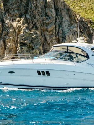 ALFA 45 Sea Ray S-icon