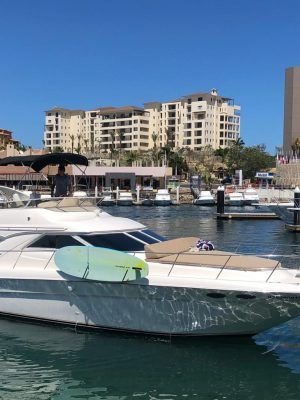 ALFA 44FT SEA RAY with flybridge!!