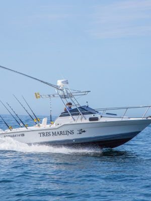 ALFA 25´´ Trophy Super panga !!