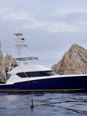 ALFA 60´´ HATTERAS