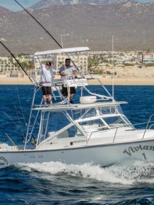 ALFA 34ft Black Whatch