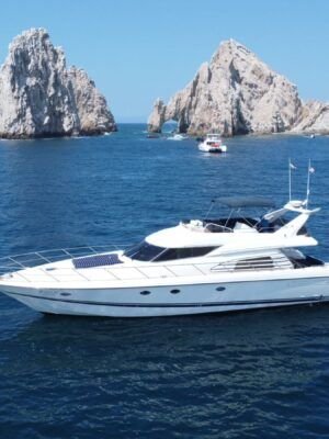ALFA 65´´ Sunseeker Manhattan ZF