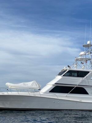 ALFA 60´´ Viking LM