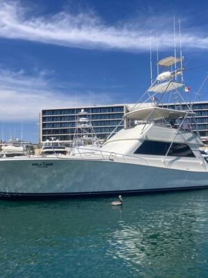 ALFA 60´´ Viking W2W