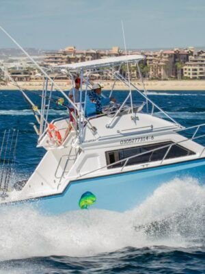 ALFA 33´´ INNOVATOR